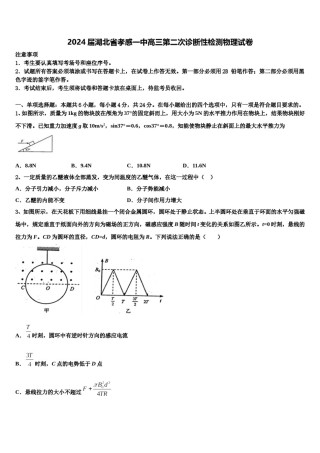 2024届湖北省孝感一中高三第二次诊断性检测物理试卷含解析.doc