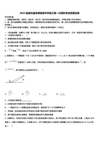 2024届湖北省孝感高级中学高三第一次模拟考试物理试卷含解析.doc