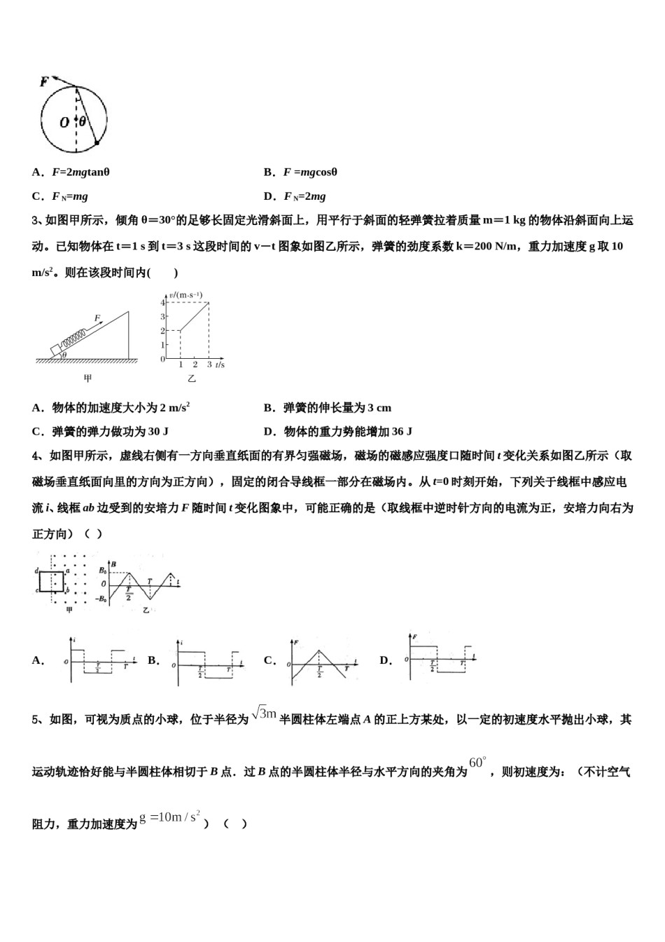 2024届湖北省武汉市新洲三中高三第一次模拟考试物理试卷含解析.doc_第2页