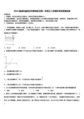 2024届湖北省武汉市蔡甸区汉阳一中高三二诊模拟考试物理试卷含解析.doc