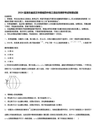 2024届湖北省武汉市钢城四中高三适应性调研考试物理试题含解析.doc