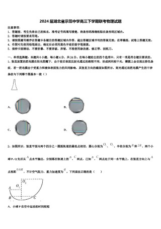 2024届湖北省示范中学高三下学期联考物理试题含解析.doc