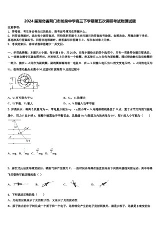 2024届湖北省荆门市龙泉中学高三下学期第五次调研考试物理试题含解析.doc