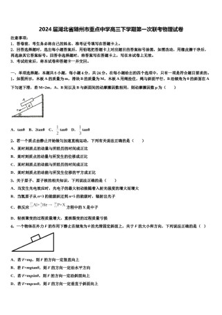 2024届湖北省随州市重点中学高三下学期第一次联考物理试卷含解析.doc