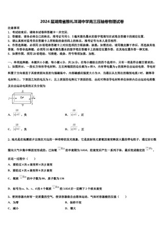 2024届湖南省雅礼洋湖中学高三压轴卷物理试卷含解析.doc