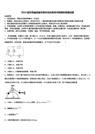 2024届甘肃省武威市高中名校高考冲刺模拟物理试题含解析.doc