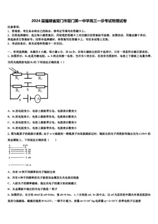 2024届福建省厦门市厦门第一中学高三一诊考试物理试卷含解析.doc