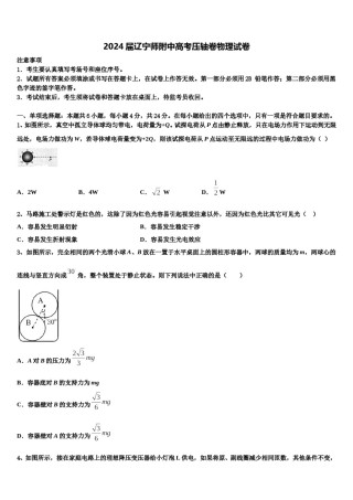 2024届辽宁师附中高考压轴卷物理试卷含解析.doc