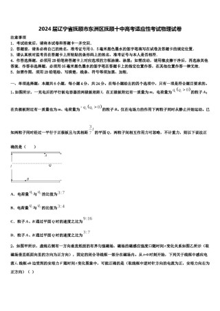 2024届辽宁省抚顺市东洲区抚顺十中高考适应性考试物理试卷含解析.doc
