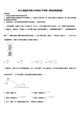 2024届重庆市育仁中学高三下学期一模考试物理试题含解析.doc