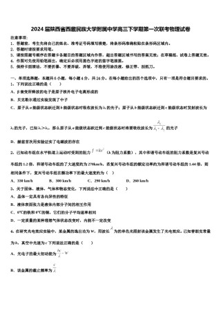2024届陕西省西藏民族大学附属中学高三下学期第一次联考物理试卷含解析.doc