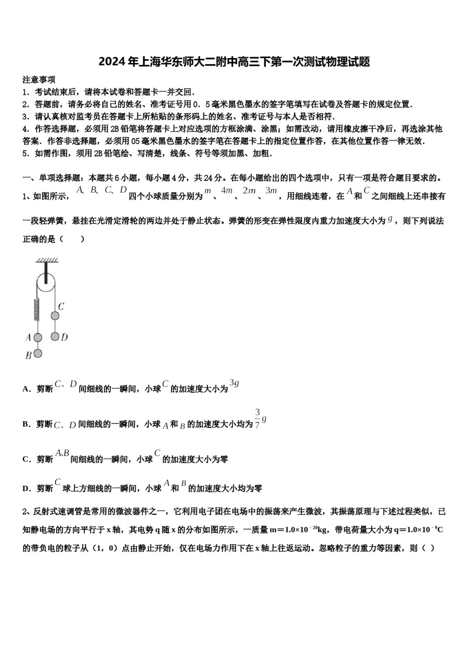 2024年上海华东师大二附中高三下第一次测试物理试题含解析.doc_第1页