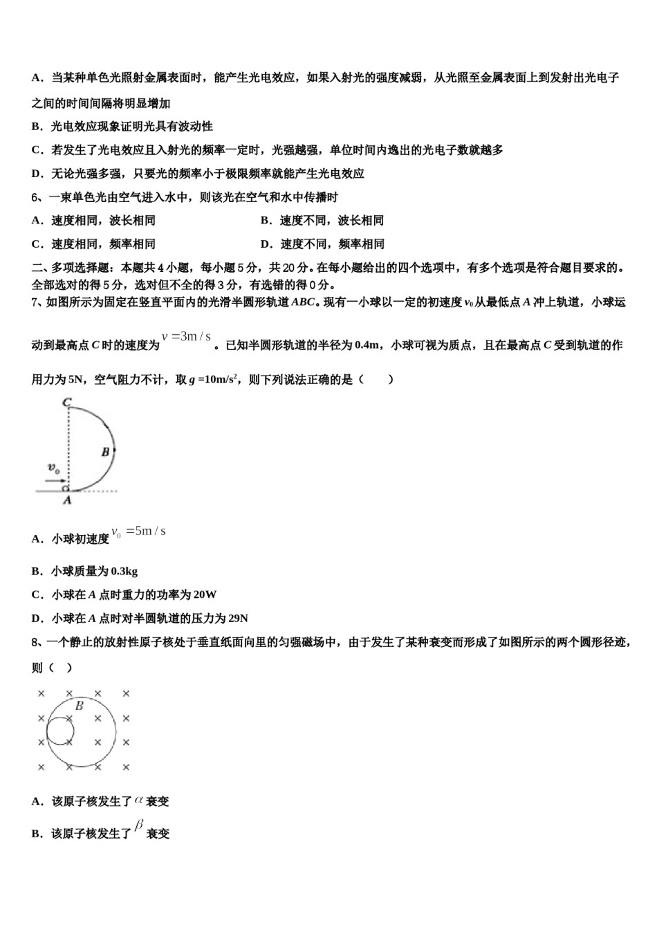2024年上海华东师大二附中高三下第一次测试物理试题含解析.doc_第3页
