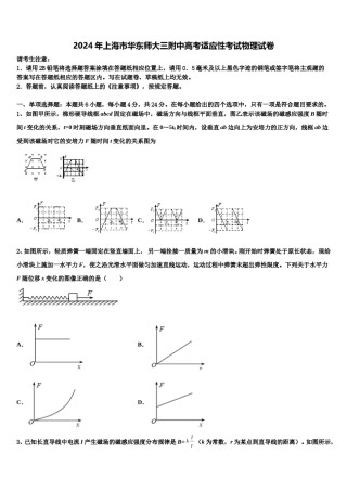 2024年上海市华东师大三附中高考适应性考试物理试卷含解析.doc