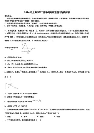 2024年上海市华二附中高考物理倒计时模拟卷含解析.doc