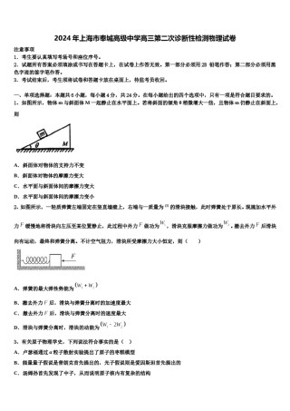 2024年上海市奉城高级中学高三第二次诊断性检测物理试卷含解析.doc