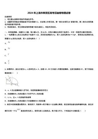 2024年上海市奉贤区高考压轴卷物理试卷含解析.doc