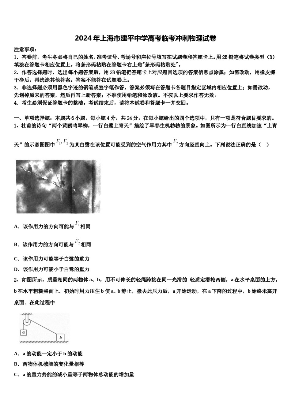 2024年上海市建平中学高考临考冲刺物理试卷含解析.doc_第1页