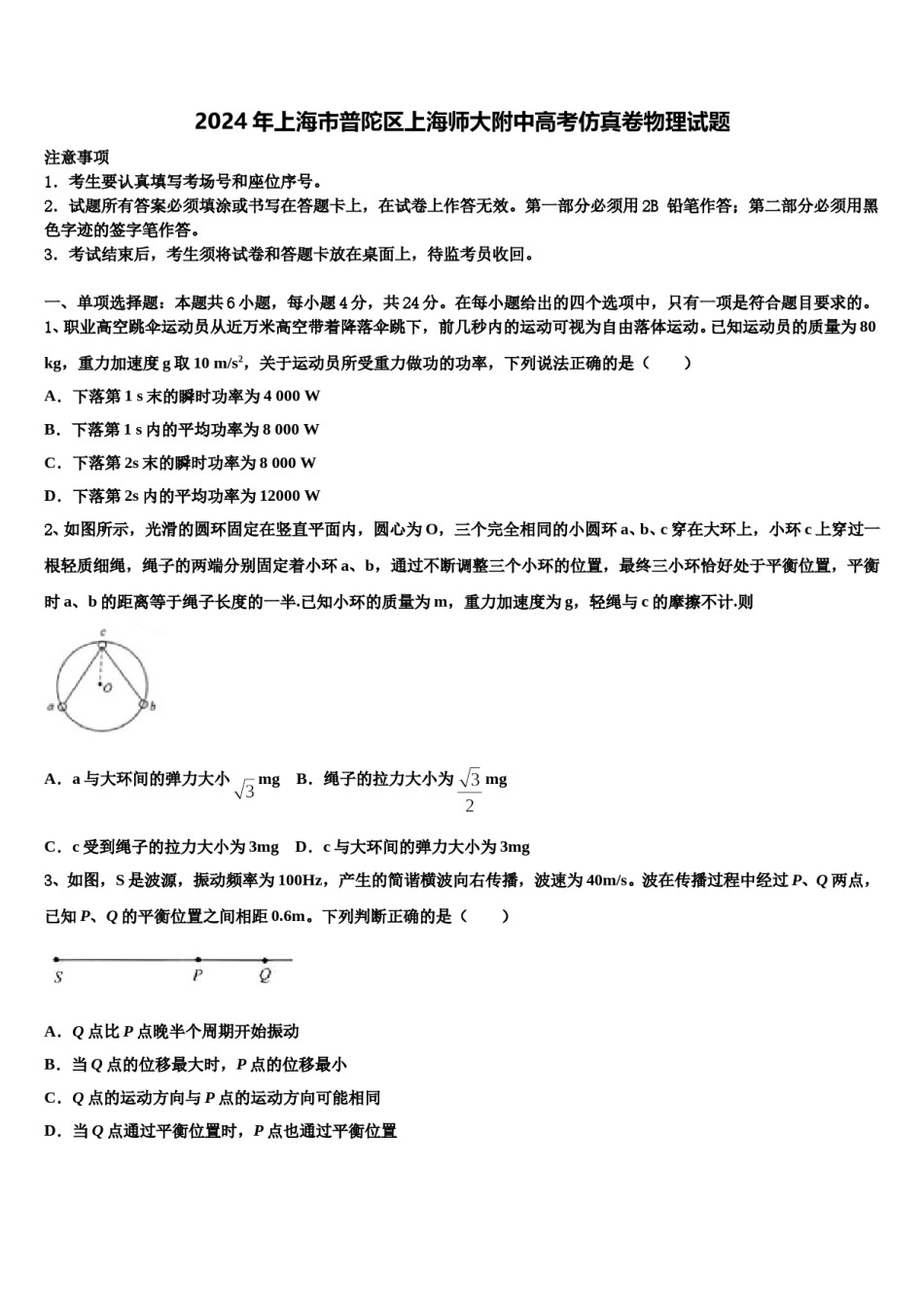 2024年上海市普陀区上海师大附中高考仿真卷物理试题含解析.doc_第1页