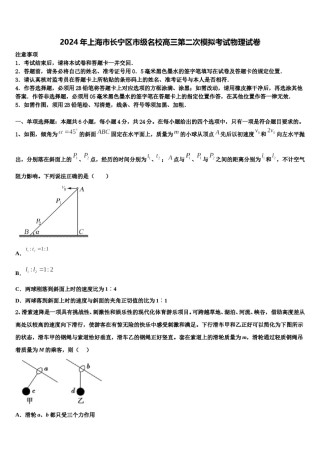 2024年上海市长宁区市级名校高三第二次模拟考试物理试卷含解析.doc
