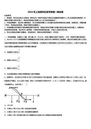 2024年上海普陀区高考物理一模试卷含解析.doc