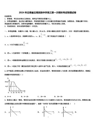 2024年云南省云南民族中学高三第一次模拟考试物理试卷含解析.doc