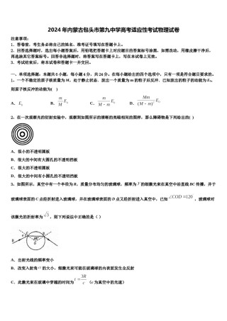 2024年内蒙古包头市第九中学高考适应性考试物理试卷含解析.doc