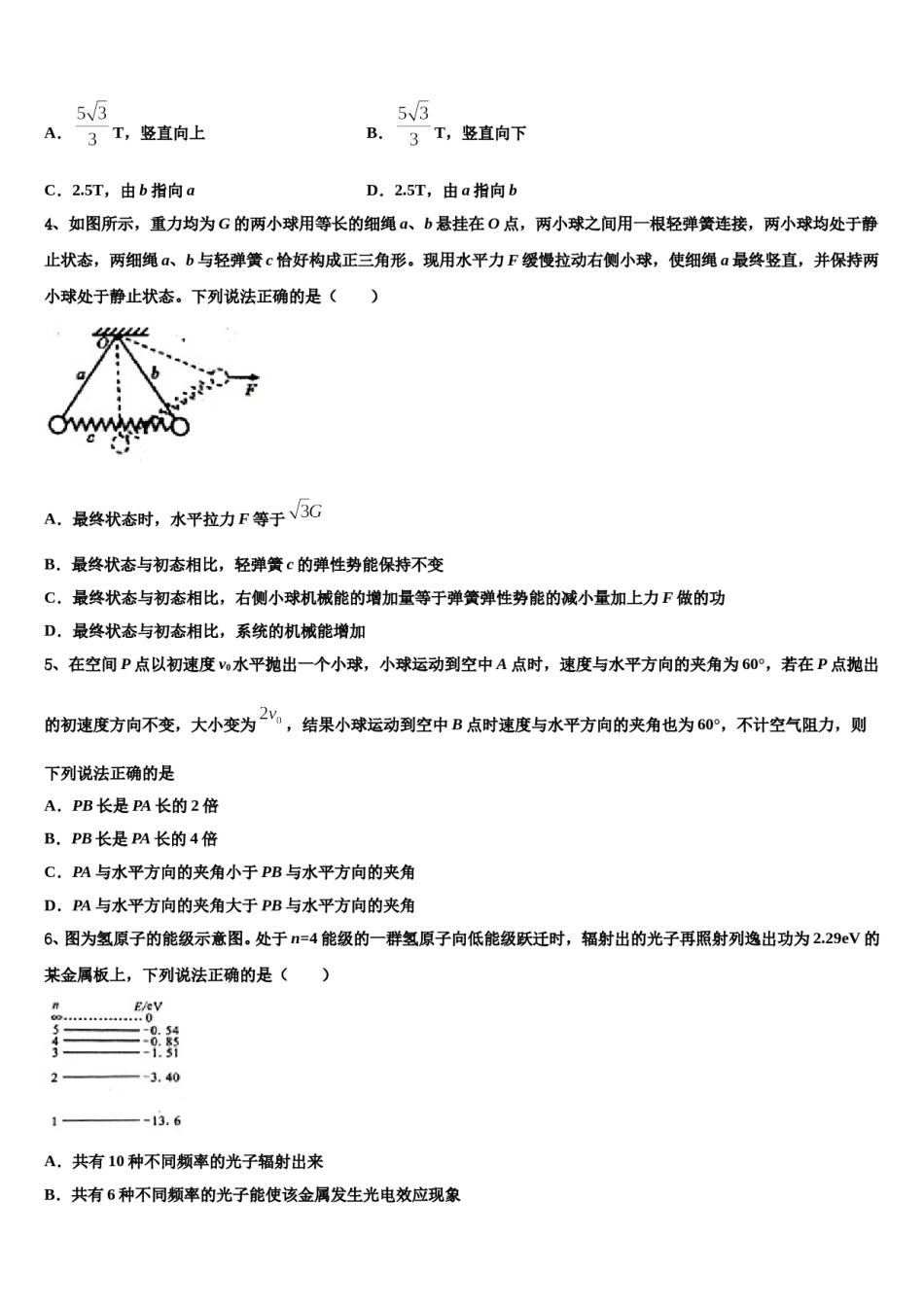 2024年内蒙古鄂伦春自治旗高考物理二模试卷含解析.doc_第2页