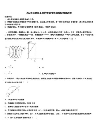 2024年北京工大附中高考仿真模拟物理试卷含解析.doc