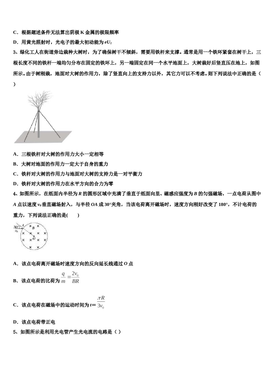 2024年北京市丰台区市级名校高三下学期第六次检测物理试卷含解析.doc_第2页