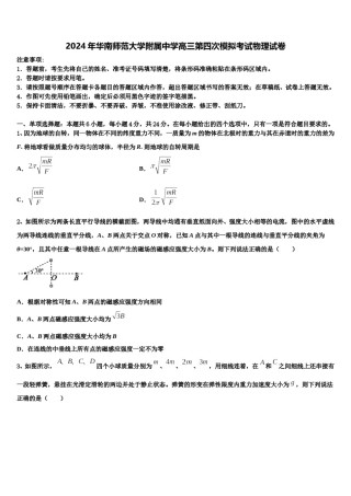 2024年华南师范大学附属中学高三第四次模拟考试物理试卷含解析.doc