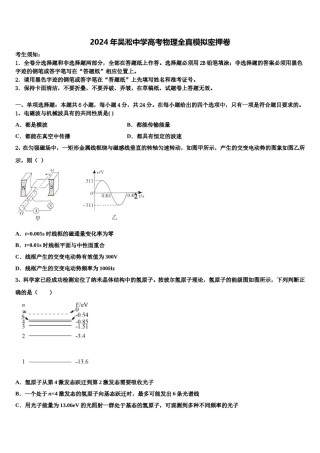 2024年吴淞中学高考物理全真模拟密押卷含解析.doc
