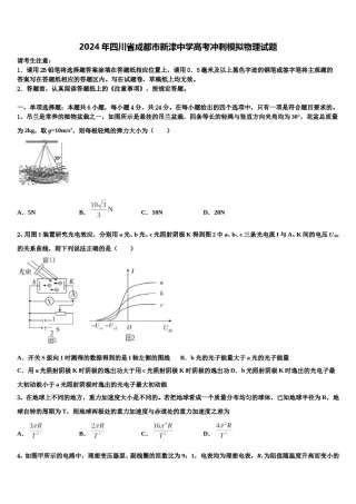 2024年四川省成都市新津中学高考冲刺模拟物理试题含解析.doc