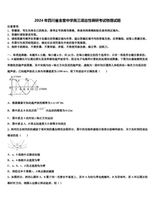2024年四川省金堂中学高三适应性调研考试物理试题含解析.doc