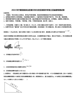 2024年宁夏回族自治区银川市兴庆区高级中学高三压轴卷物理试卷含解析.doc