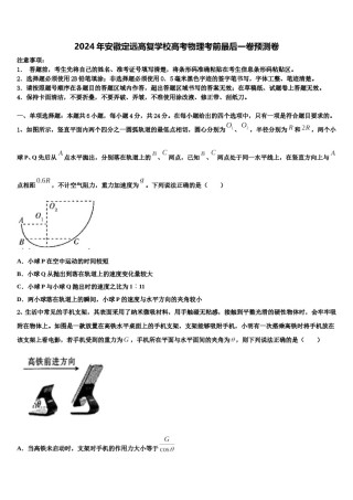 2024年安徽定远高复学校高考物理考前最后一卷预测卷含解析.doc