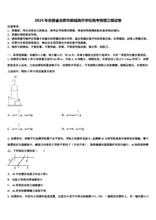 2024年安徽省合肥市新城高升学校高考物理三模试卷含解析.doc