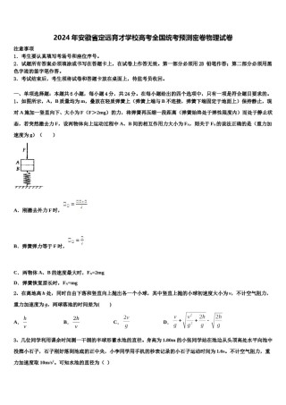 2024年安徽省定远育才学校高考全国统考预测密卷物理试卷含解析.doc