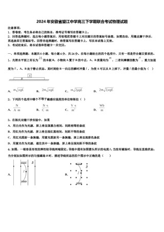 2024年安徽省望江中学高三下学期联合考试物理试题含解析.doc