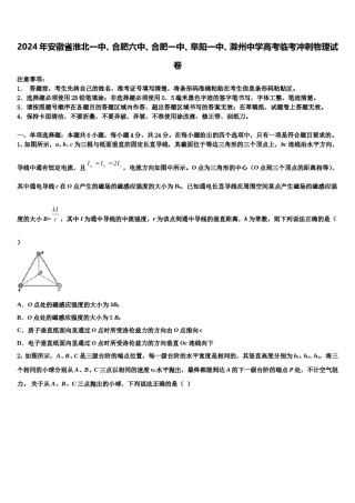 2024年安徽省淮北一中、合肥六中、合肥一中、阜阳一中、滁州中学高考临考冲刺物理试卷含解析.doc