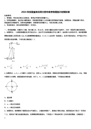 2024年安徽省淮北师大附中高考物理倒计时模拟卷含解析.doc