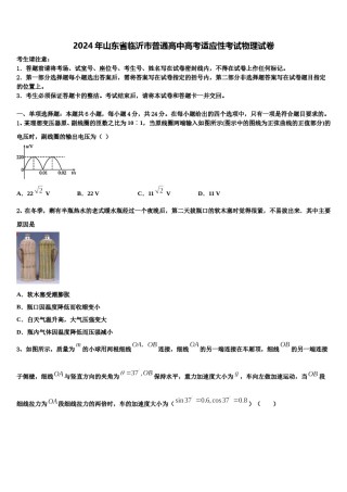 2024年山东省临沂市普通高中高考适应性考试物理试卷含解析.doc