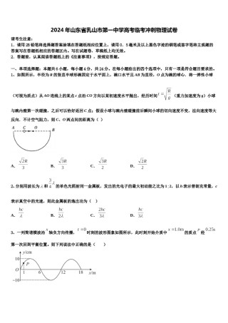 2024年山东省乳山市第一中学高考临考冲刺物理试卷含解析.doc