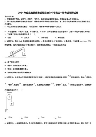 2024年山东省德州市武城县迪尔中学高三一诊考试物理试卷含解析.doc