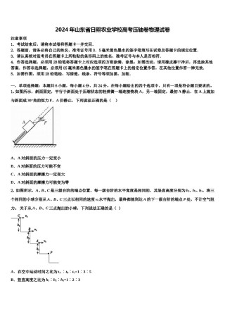 2024年山东省日照农业学校高考压轴卷物理试卷含解析.doc