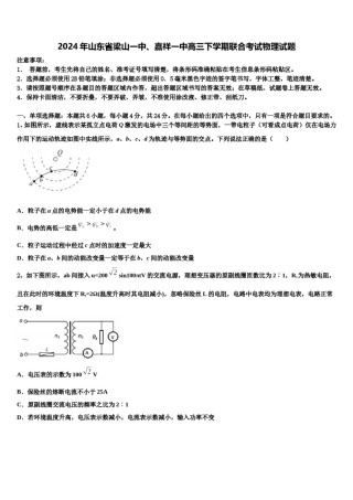 2024年山东省梁山一中、嘉祥一中高三下学期联合考试物理试题含解析.doc