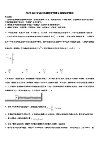 2024年山东省沂水县高考物理全真模拟密押卷含解析.doc