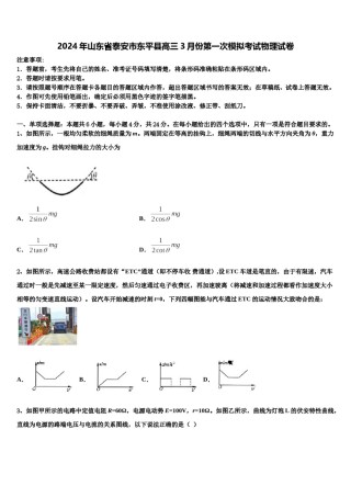 2024年山东省泰安市东平县高三3月份第一次模拟考试物理试卷含解析.doc
