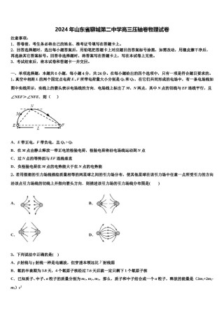 2024年山东省聊城第二中学高三压轴卷物理试卷含解析.doc