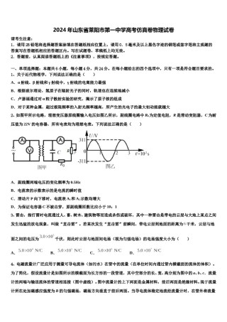 2024年山东省莱阳市第一中学高考仿真卷物理试卷含解析.doc